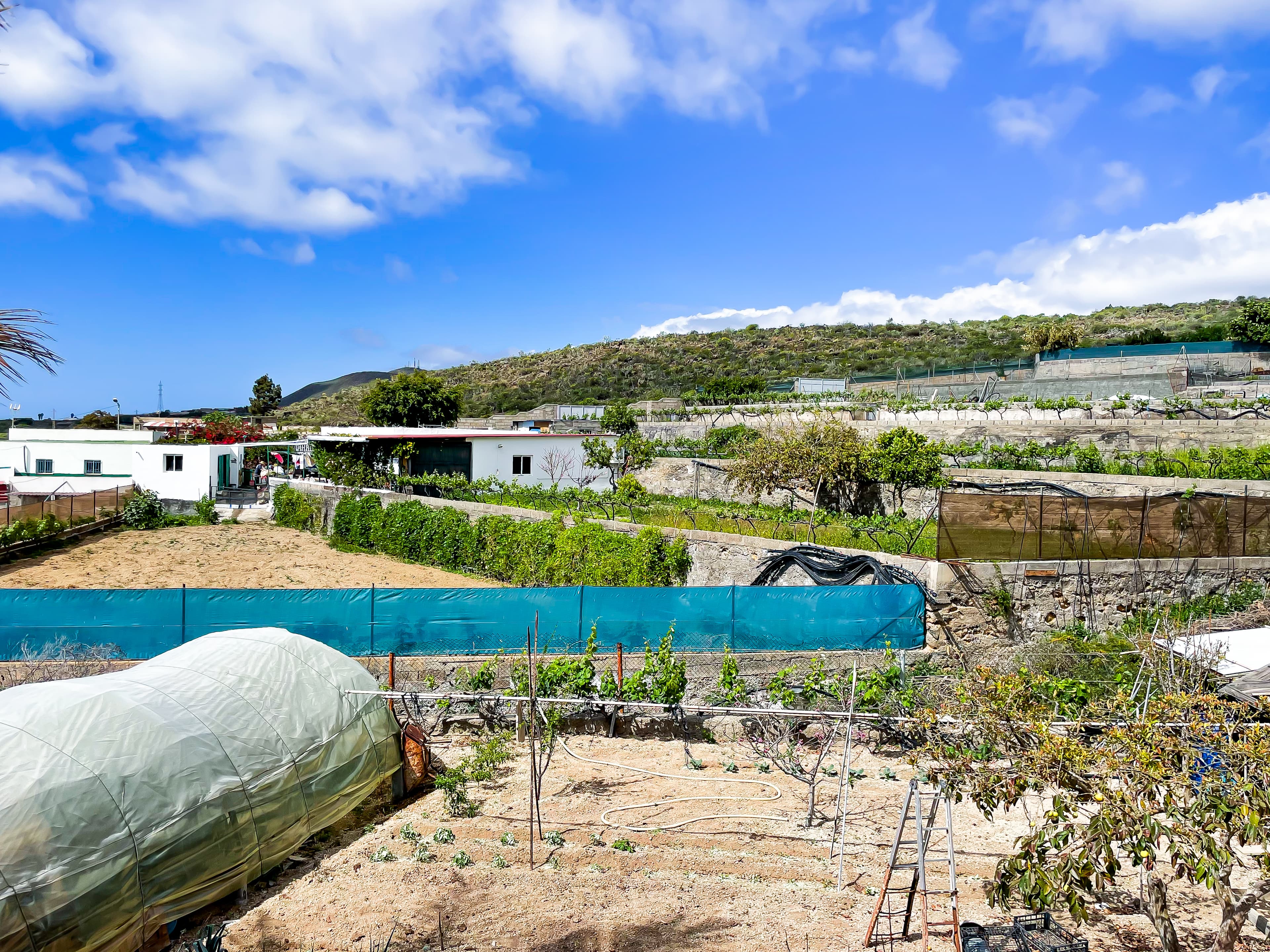 House with Rustic Plot and Wine Cellar for Sale in Granadilla de Abona