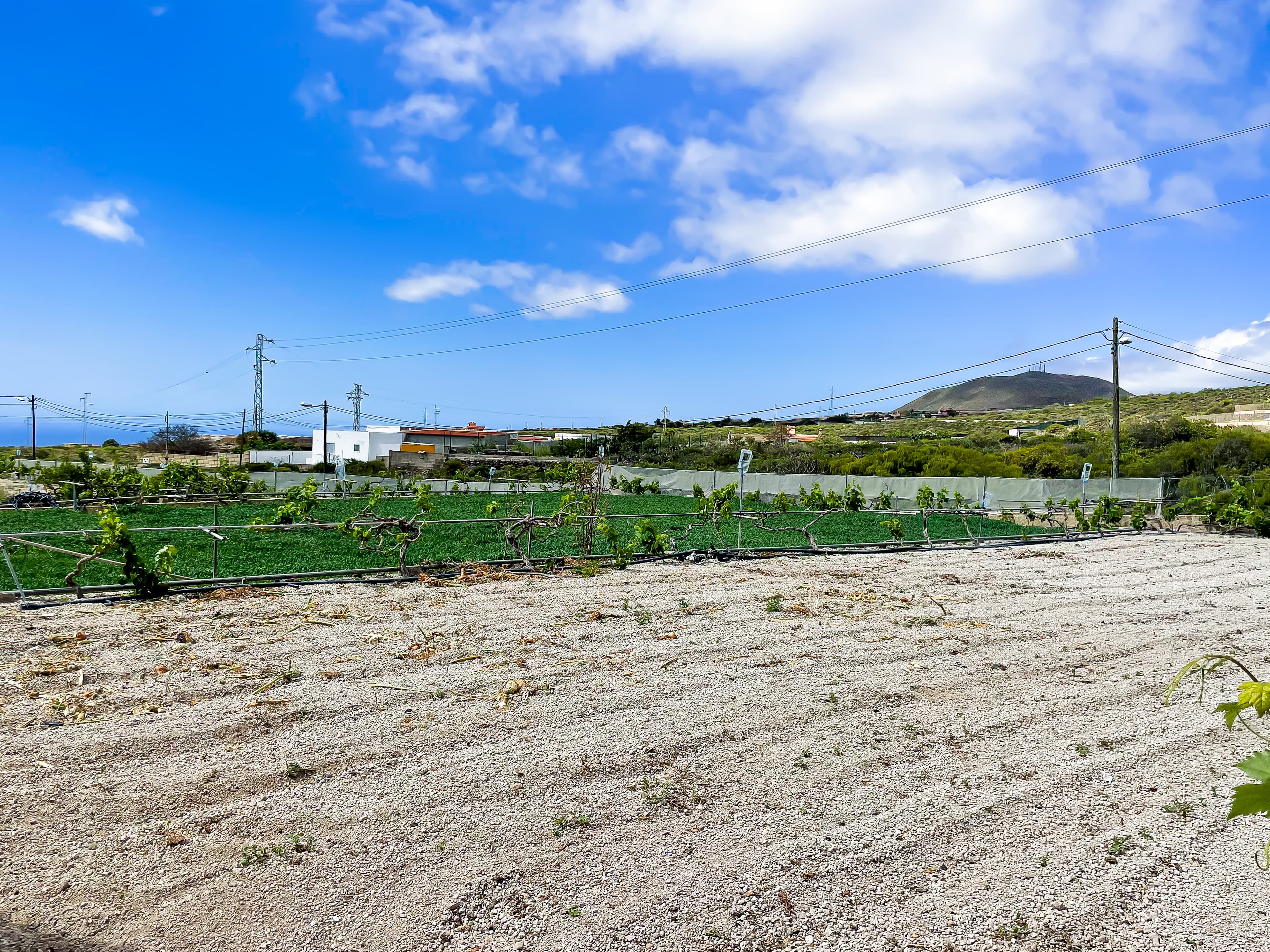 House with Rustic Plot and Wine Cellar for Sale in Granadilla de Abona