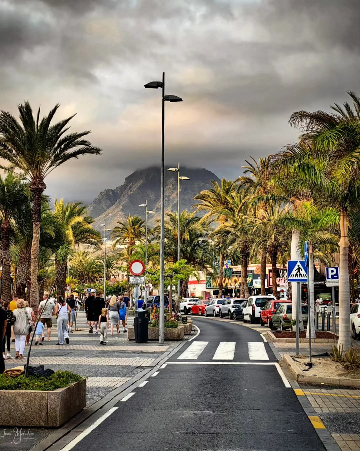 Playa de las Américas - Guía de la Zona