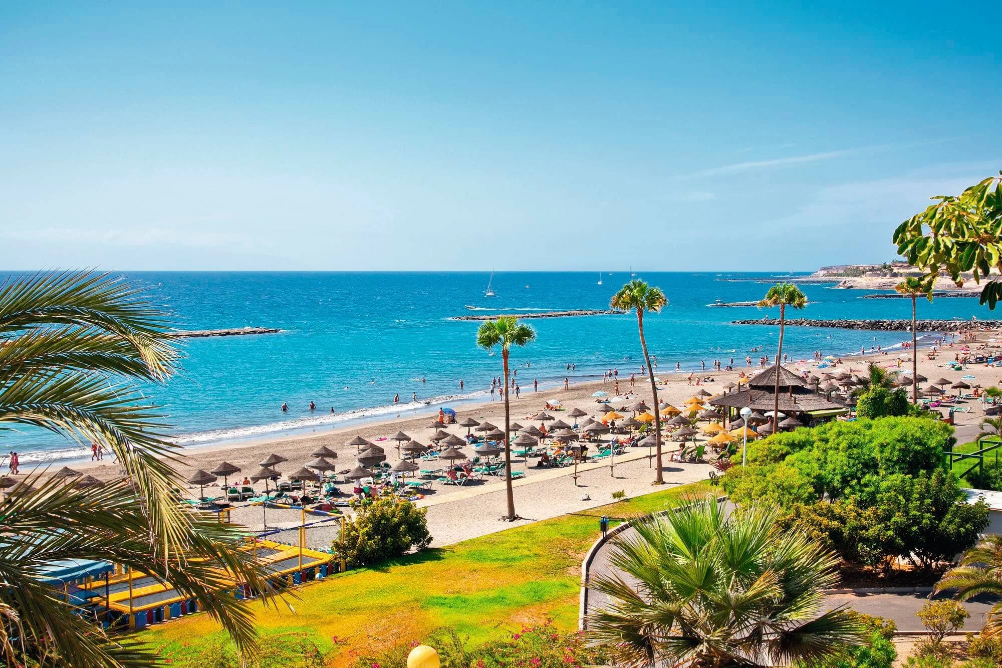 Playa de las Américas - Guía de la Zona
