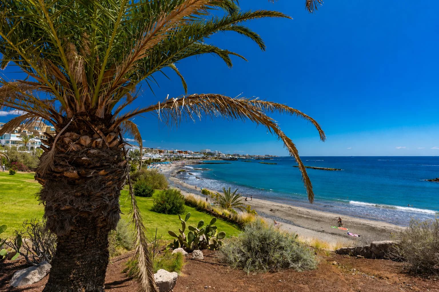 Playa de las Américas - Guía de la Zona