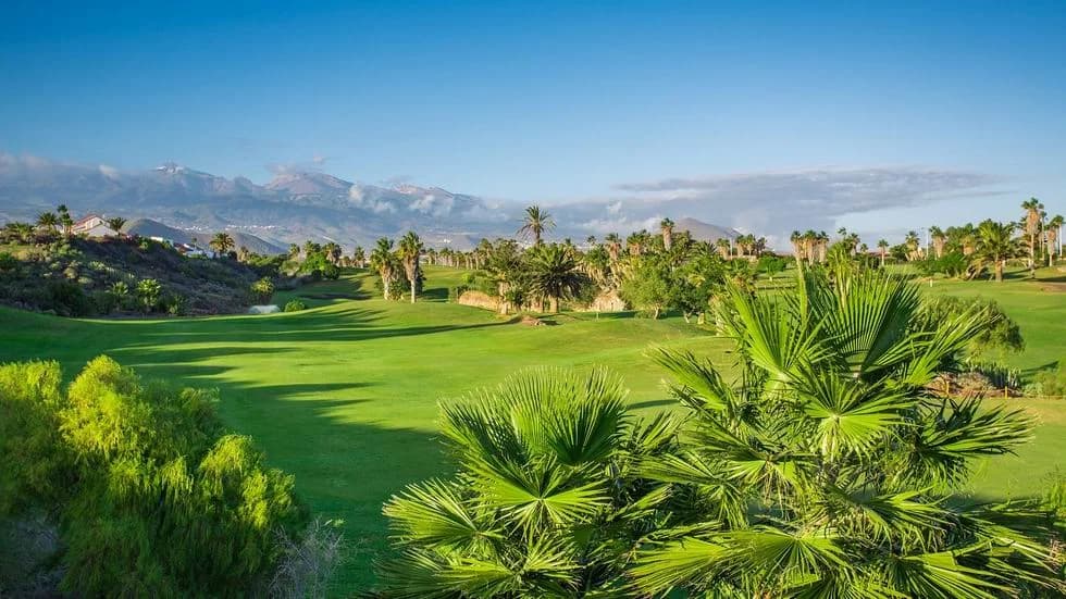 Vivir en Golf del Sur