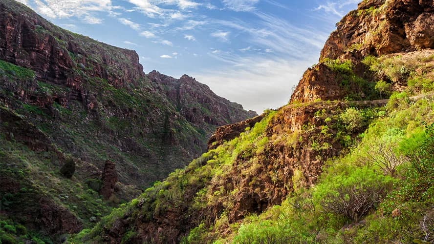 Adeje, Tenerife - Guía de la Zona