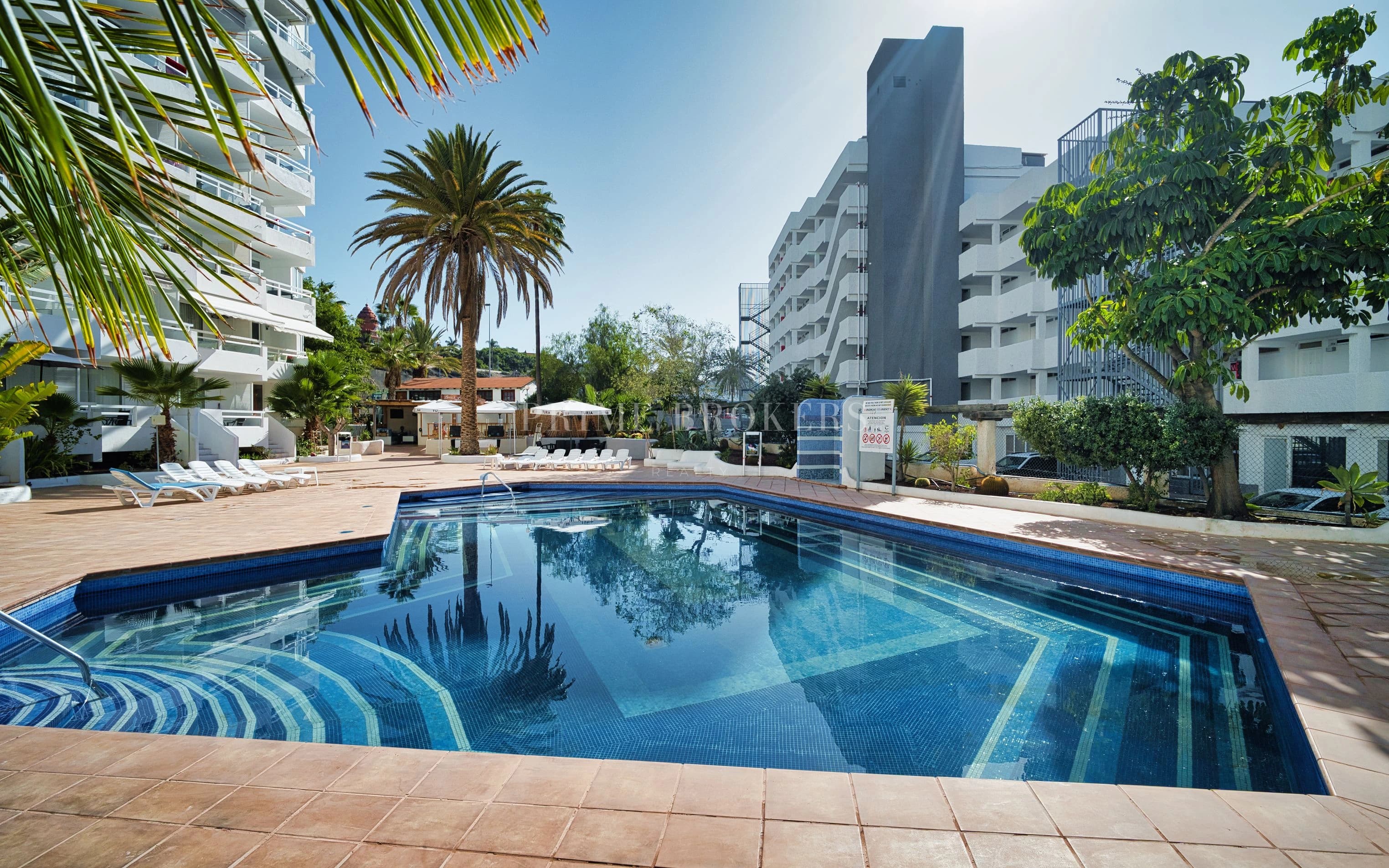 Excellent Studio in Las Americas